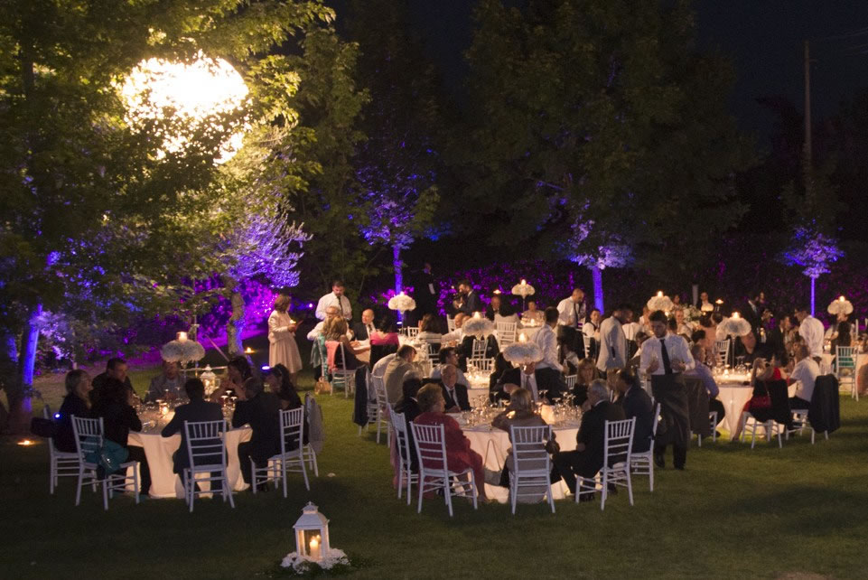 Immagini giardino con illuminazione colorate led e sfera bianca